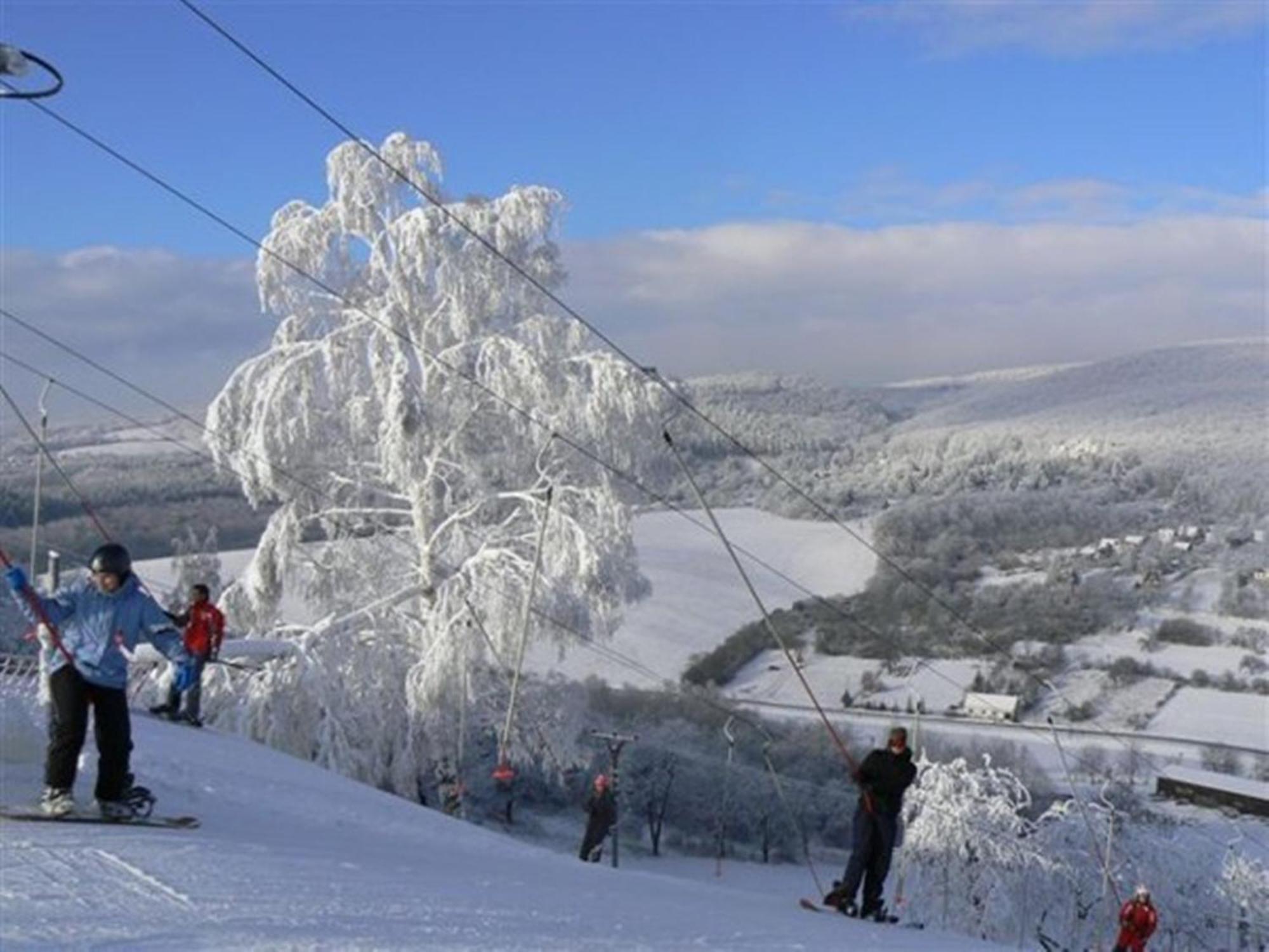Penzion Malovany Osvetimany Dış mekan fotoğraf